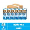Bambix Infant Liquid Milk (1+) 1L (12)CTN